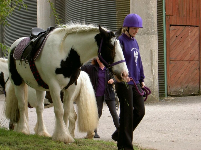  ¡Venga a viajar con nosotros!